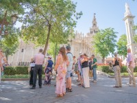 1780991454_elf-sevilla-473.jpg